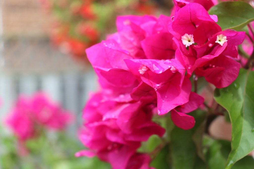 Cuba, nơi thời gian dừng lại